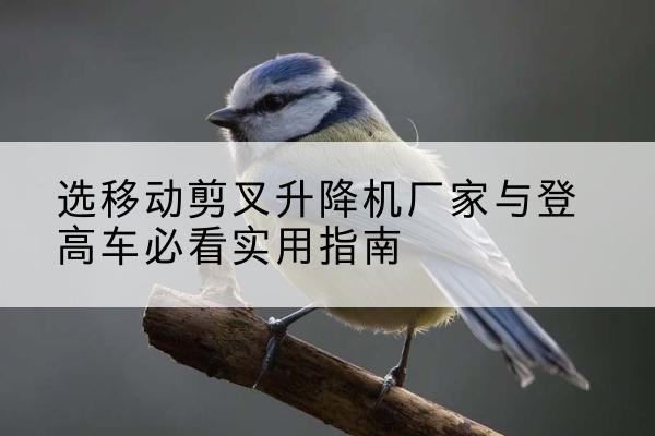 吉阳电动升降机厂家-选移动剪叉升降机厂家与登高车必看实用指南