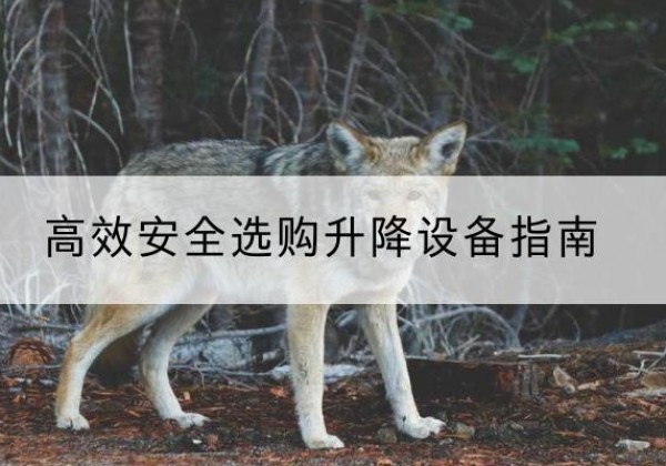 吉阳升降货梯厂家推荐-*安全选购升降设备指南